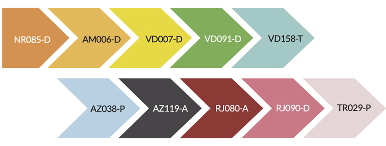 Colores Diversión cromática Tendencias de color Pintuco 2020