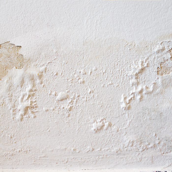 Soluciona la humedad leve de una pared antes de pintarla - Pinturas Pintuco  Pinturas Pintuco